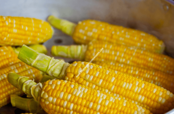 Corn Vending Machine: Prices & Types of Corn Products